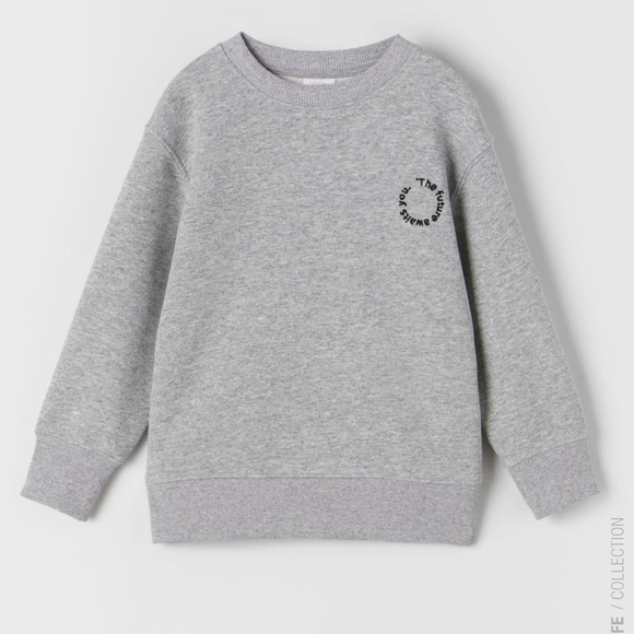 Zara Other - Zara Embroidered Sweatshirt